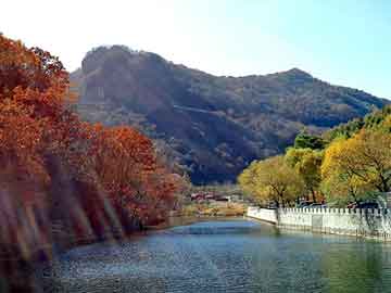 澳门二四六天天彩图库，青龙满族自治seo建站